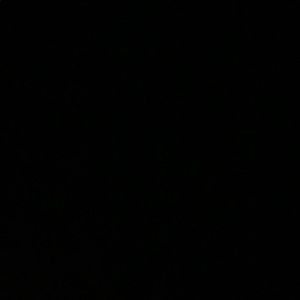 Meet your Posher, Paul